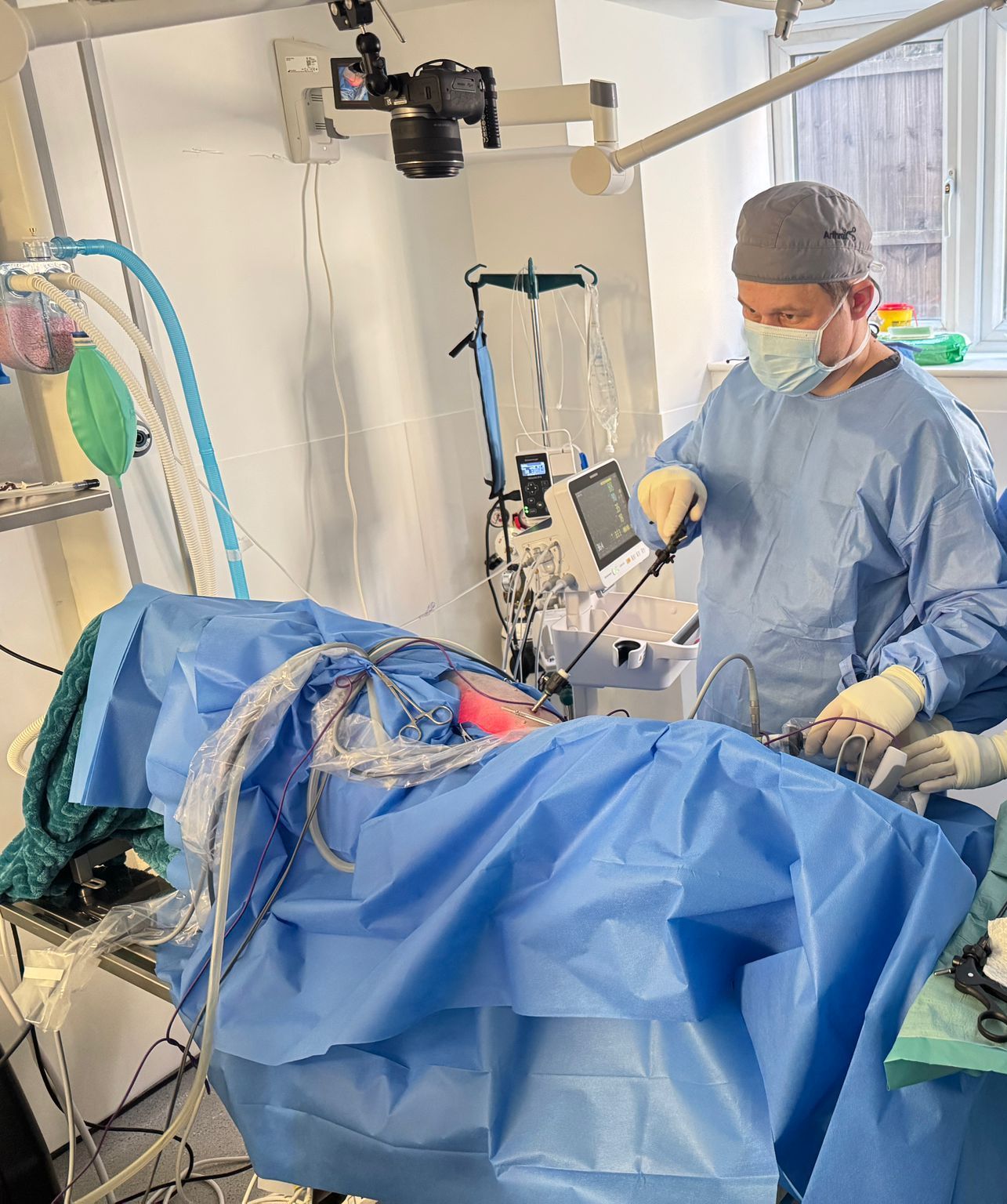 Operationssaal Tierchirurgie Hund